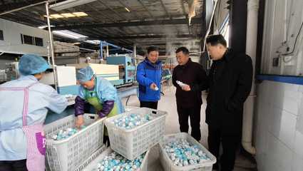 王兵调研市农业产业化龙头企业发展 助推农产品销售提质增效