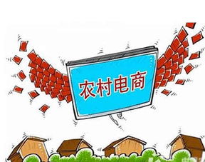 有机农产品电商 农超对接的新途径