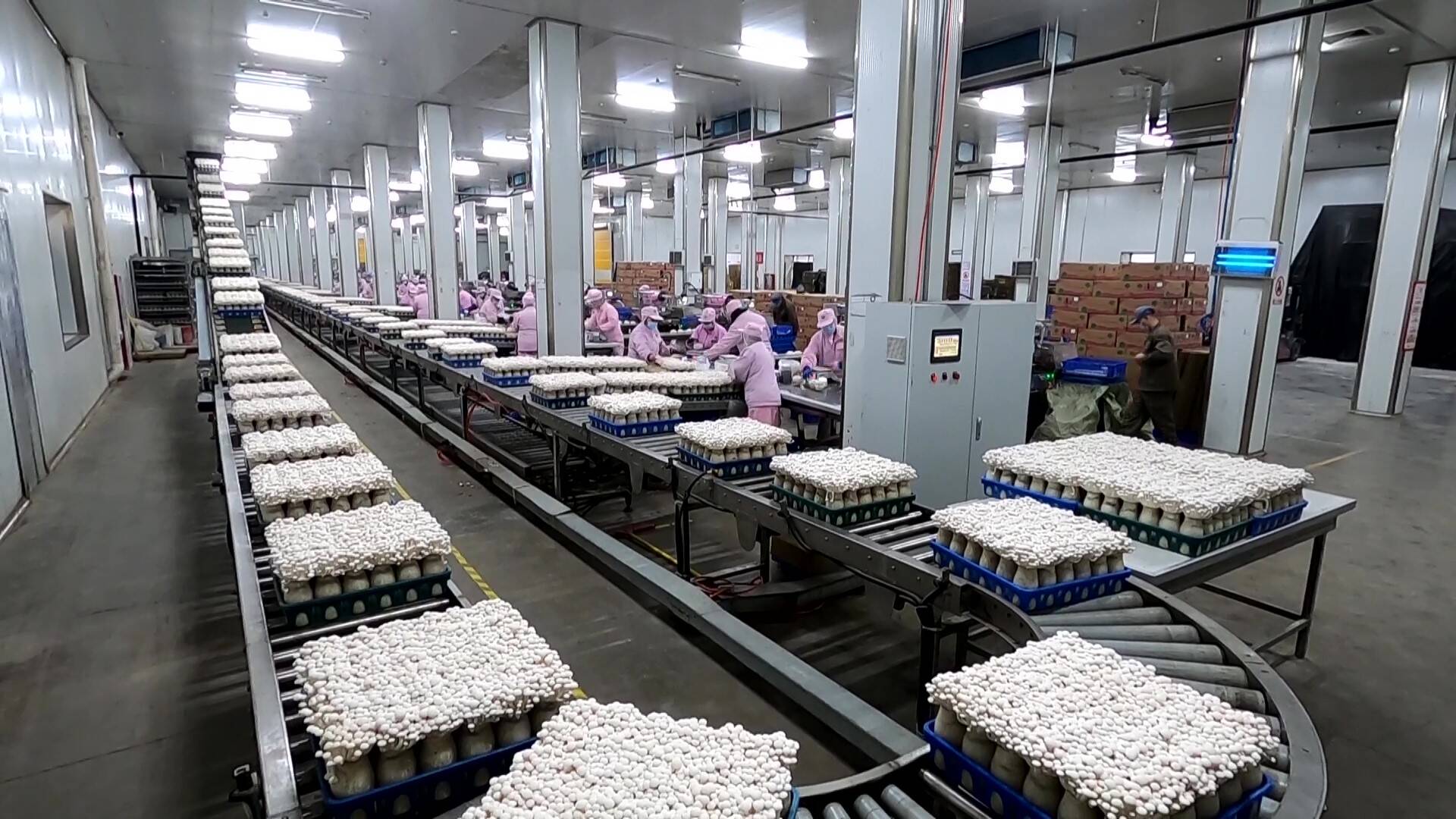 德州农产品“抢鲜”出海，春节前后市场销售持续火爆