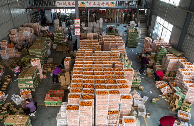 湖北秭归 电商复工助推农产品销售新篇章