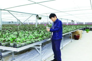 全国农产品系列促销活动助力农产品销售